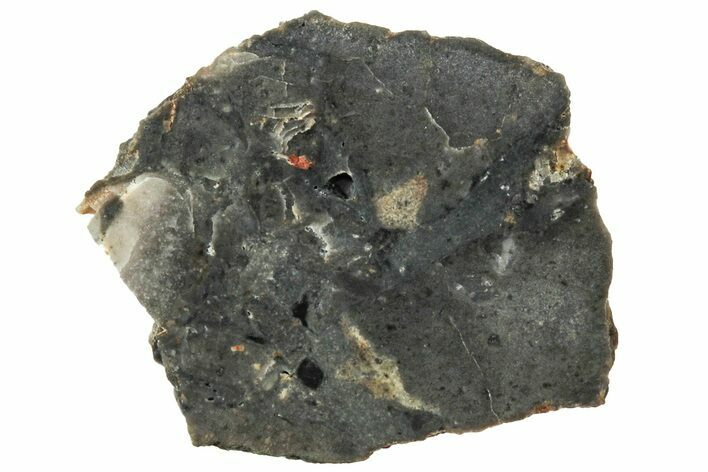 NWA Lunar Meteorite ( g) Slice #307497